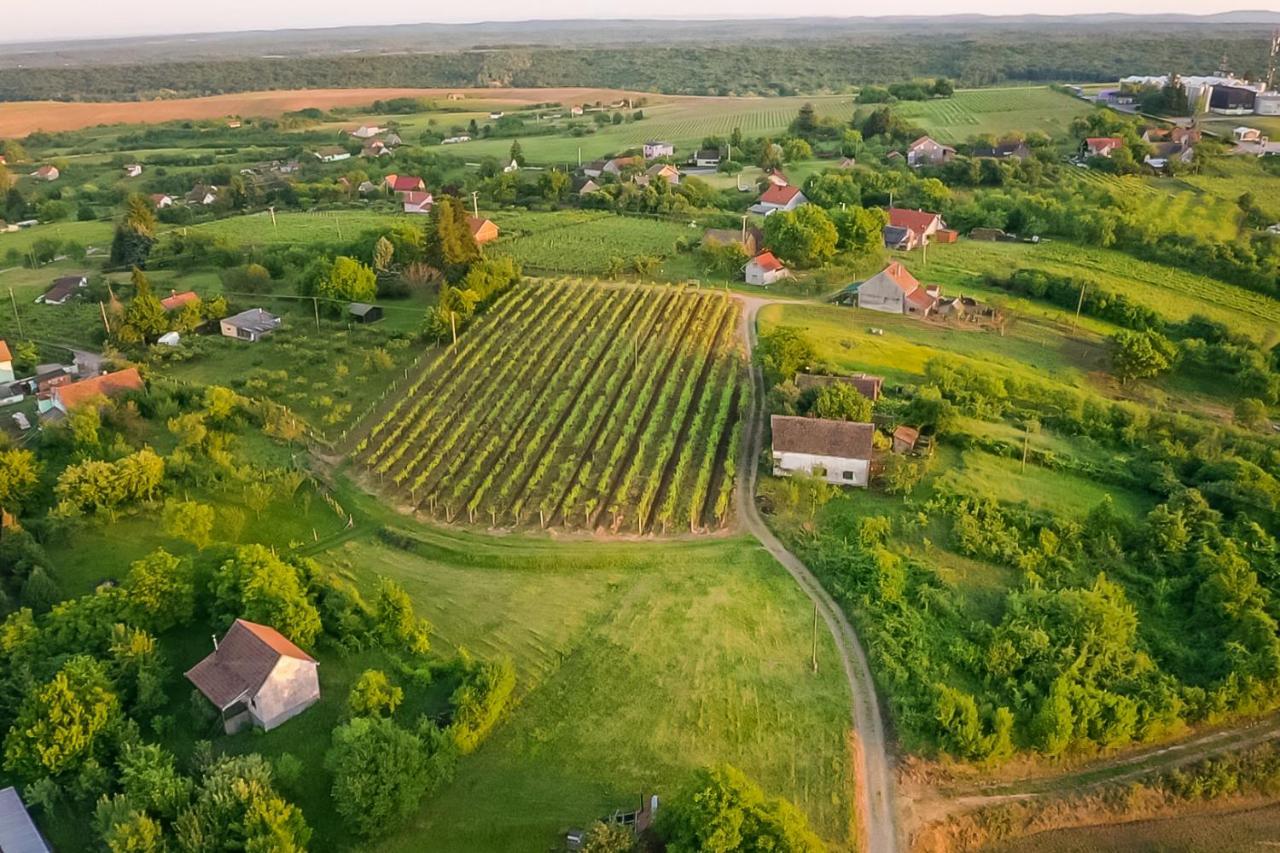 Village Wine House Mandicevac Exteriér fotografie