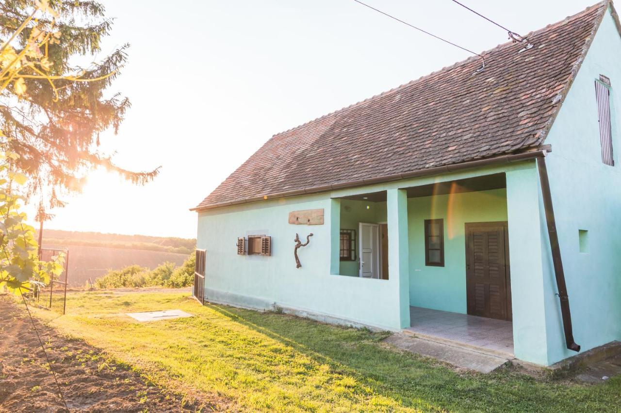 Village Wine House Mandicevac Exteriér fotografie