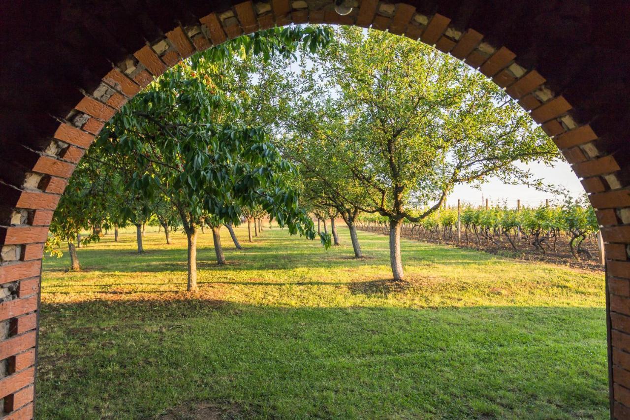 Village Wine House Mandicevac Exteriér fotografie