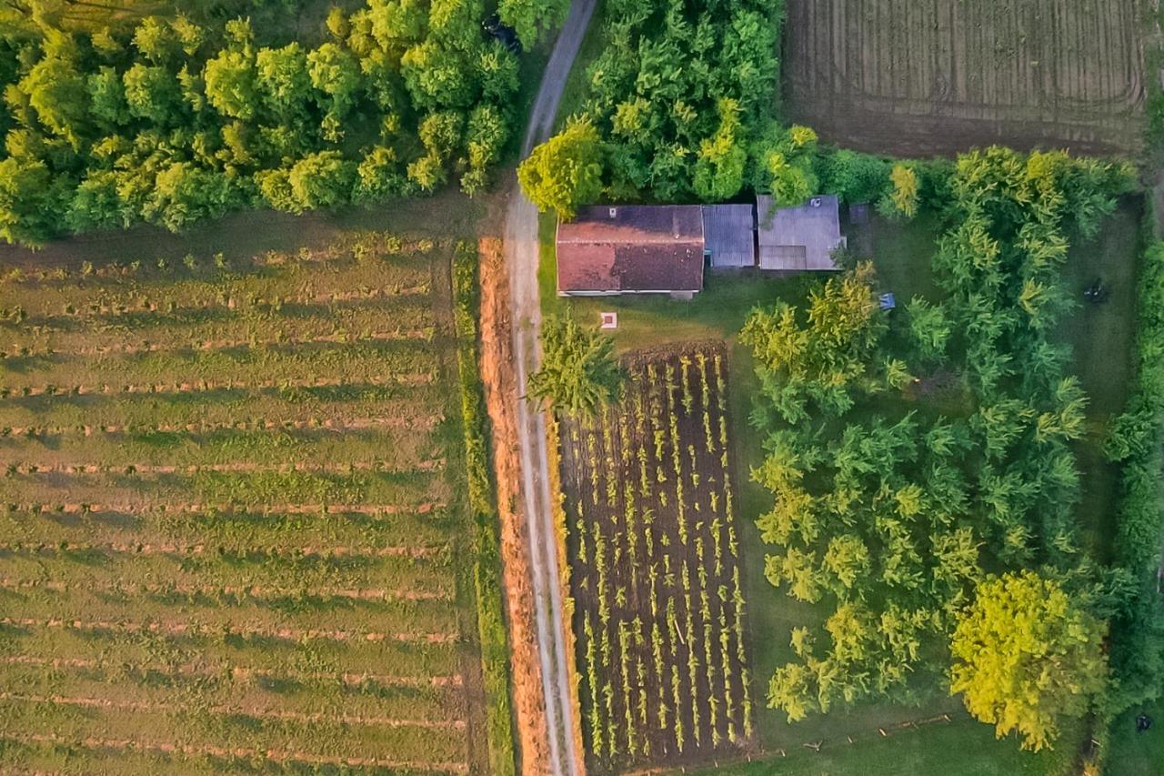 Village Wine House Mandicevac Exteriér fotografie