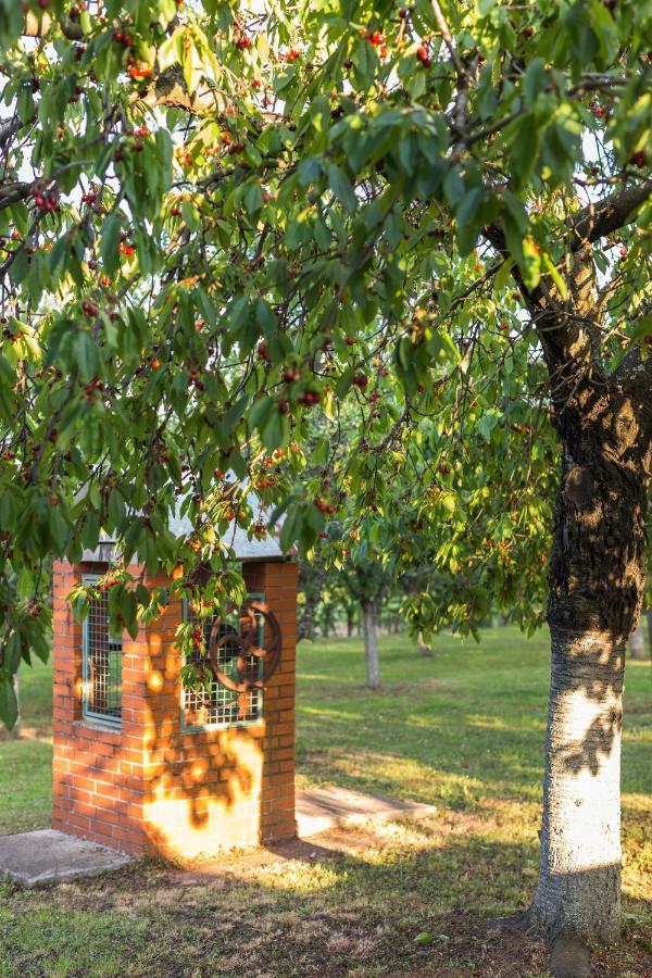 Village Wine House Mandicevac Exteriér fotografie