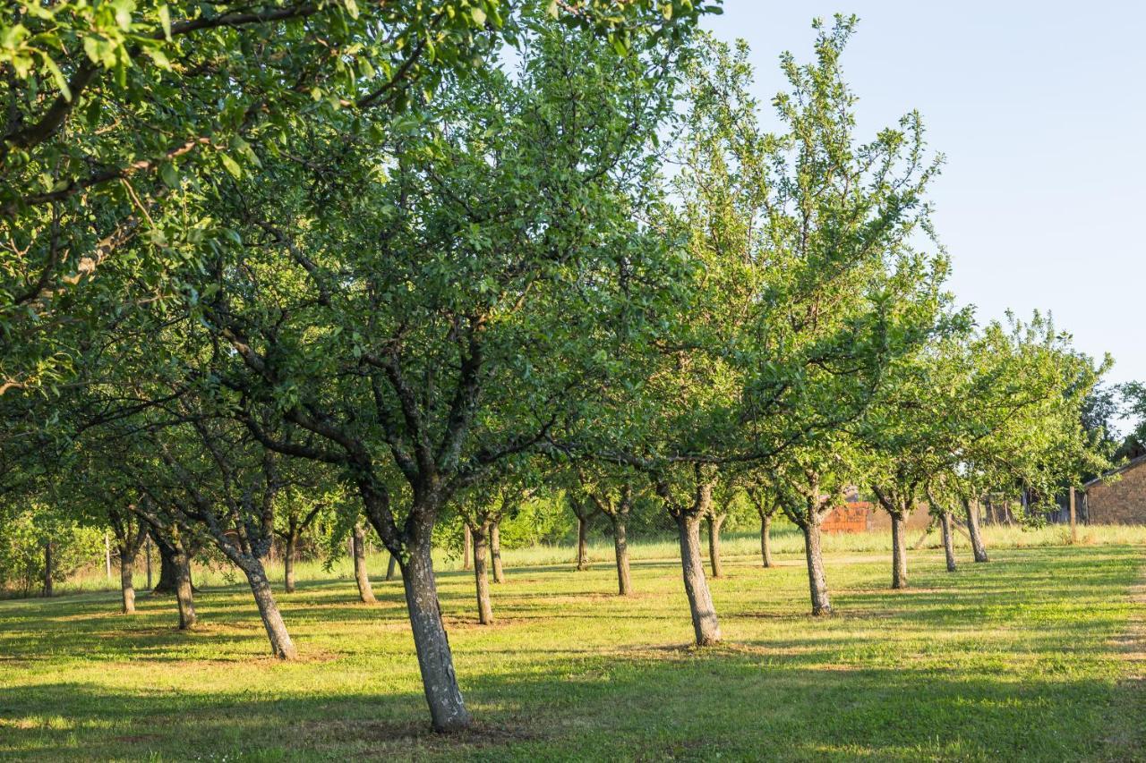 Village Wine House Mandicevac Exteriér fotografie