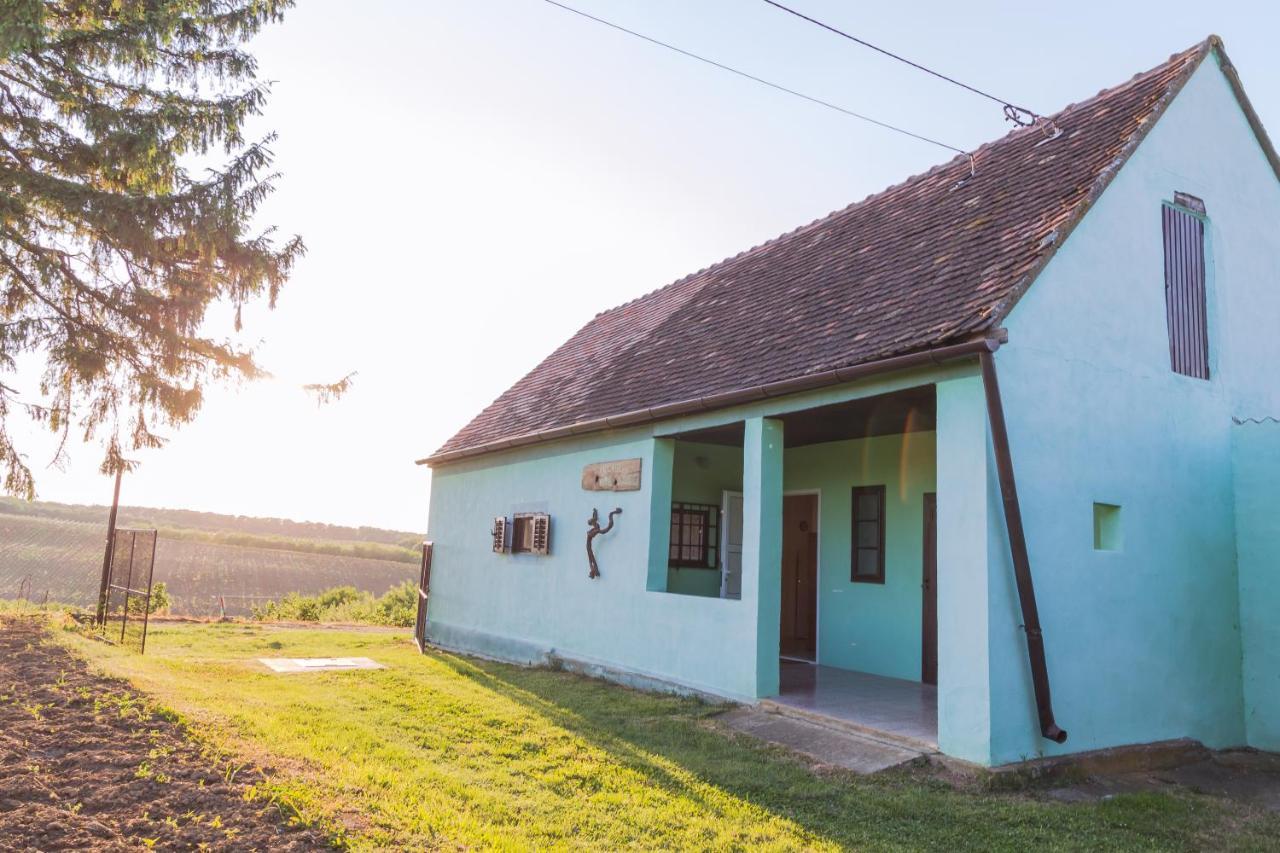 Village Wine House Mandicevac Exteriér fotografie