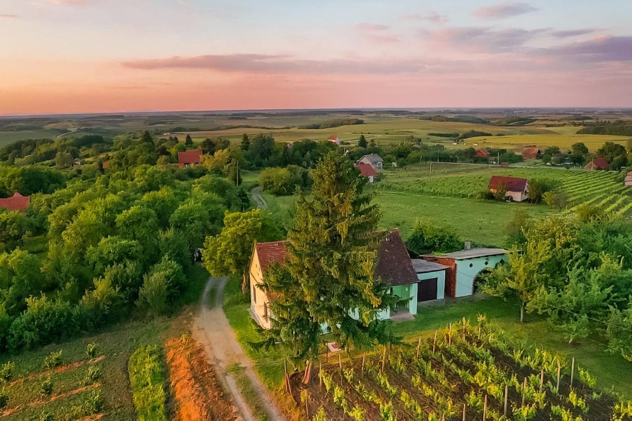 Village Wine House Mandicevac Exteriér fotografie