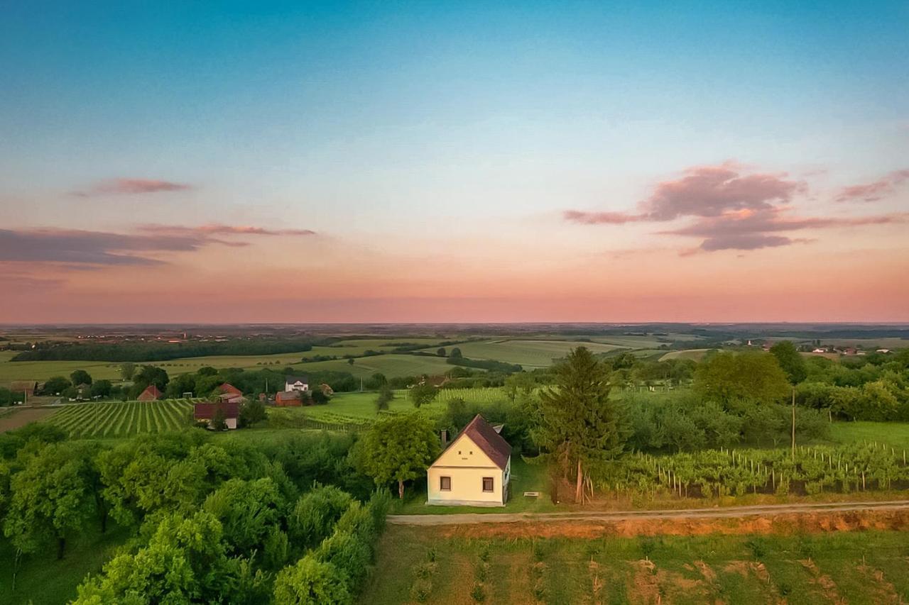 Village Wine House Mandicevac Exteriér fotografie