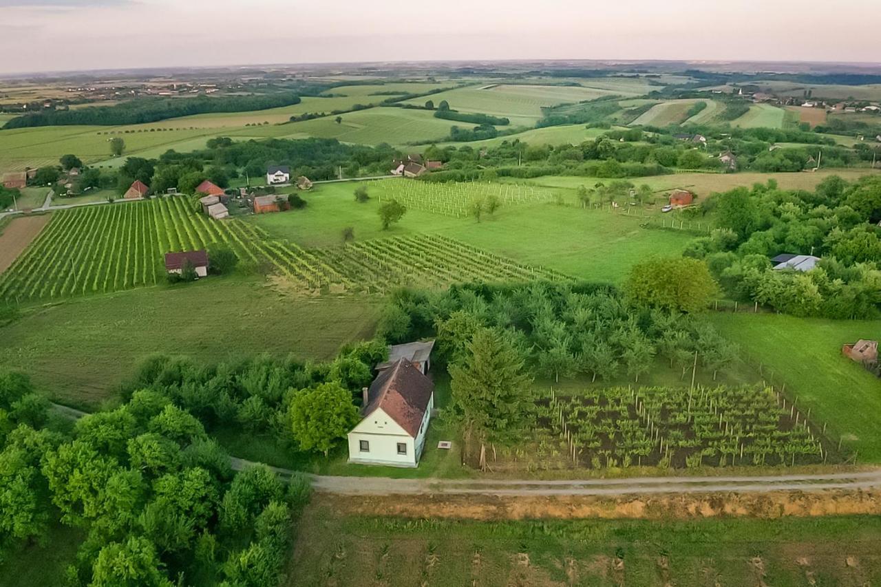 Village Wine House Mandicevac Exteriér fotografie