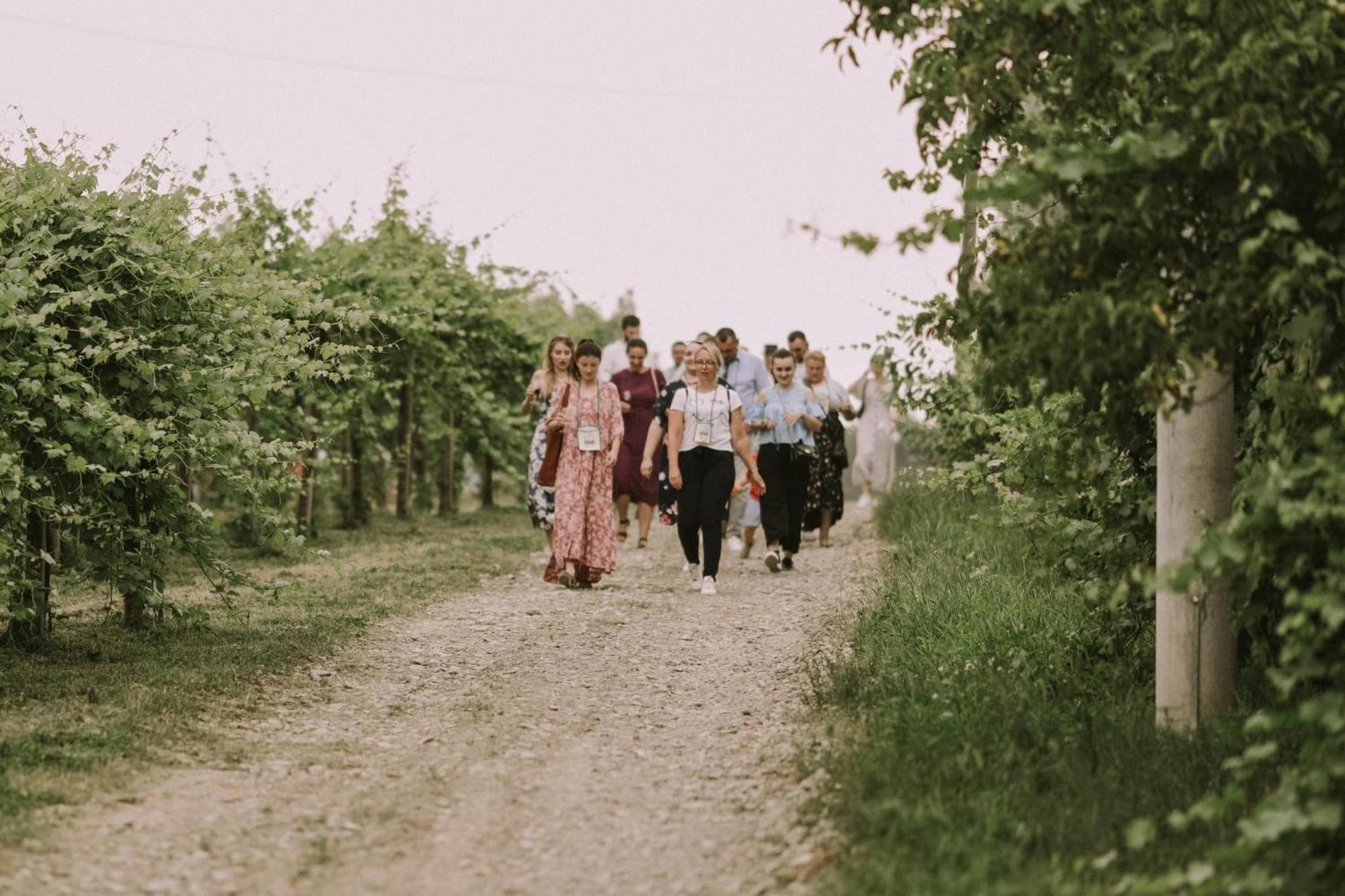 Village Wine House Mandicevac Exteriér fotografie